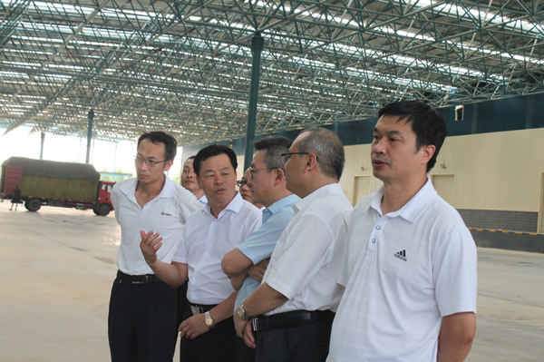 1533367353544337.jpg IMG_8681.JPG